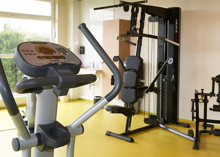 Hotel Western Le Rhenan & Restaurant Chez Claude Dorlisheim