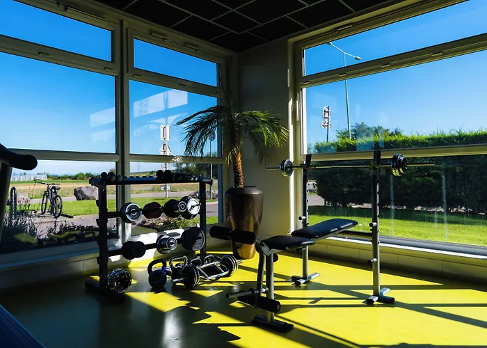 ホテル Western Le Rhenan & Restaurant Chez Claude 4*