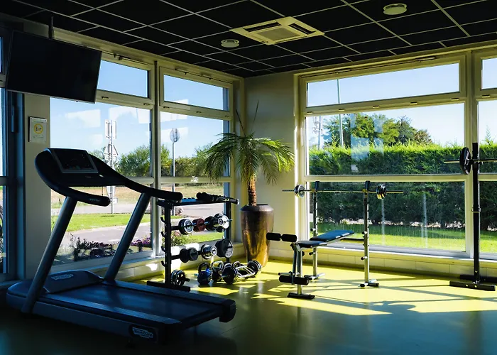 ホテル Western Le Rhenan & Restaurant Chez Claude 4*