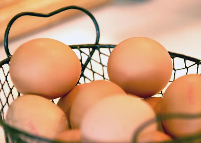 Western Le Rhenan & Restaurant Chez Claude Dorlisheim